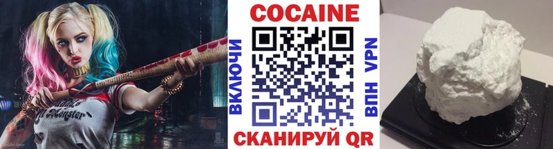 MEGA ссылка  купить наркоту  Фатеж  Cocaine Fish Scale 