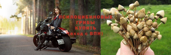 кокаин колумбия Абаза