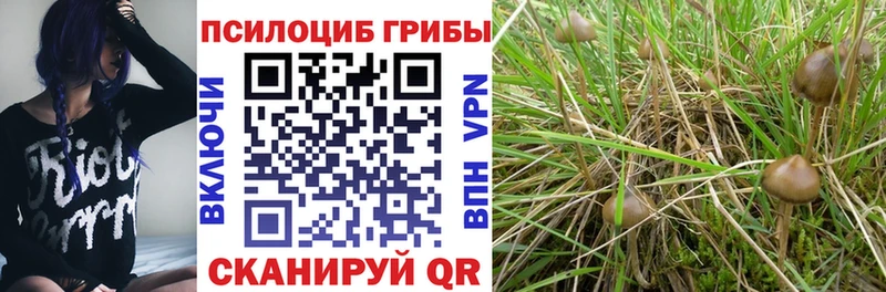 Галлюциногенные грибы прущие грибы  продажа наркотиков  Фатеж 